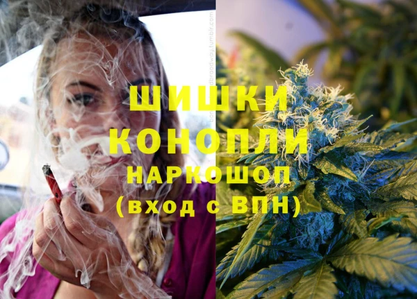 шишки Гусиноозёрск