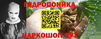 бошки Донской