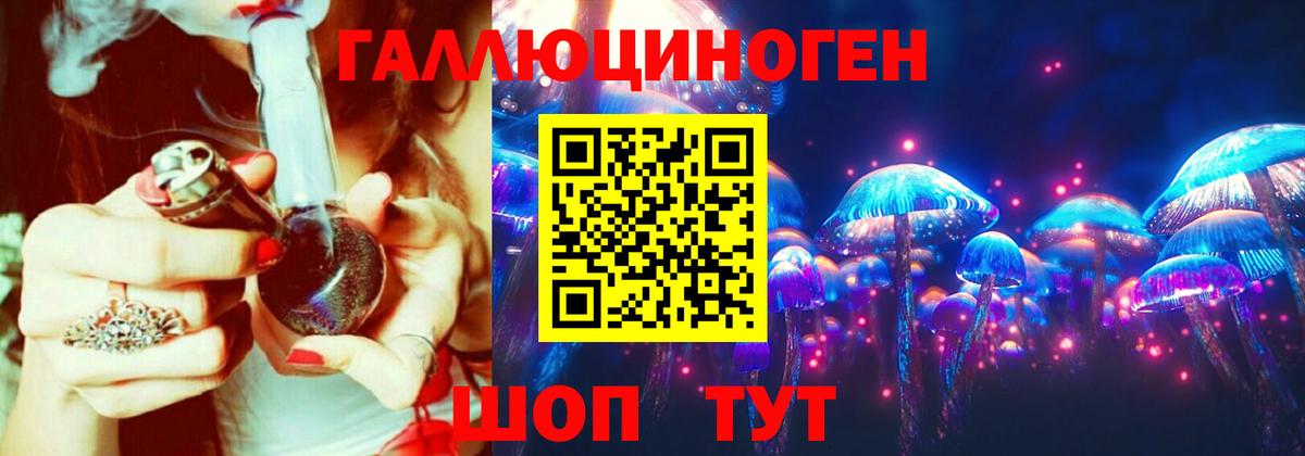 Псилоцибиновые грибы GOLDEN TEACHER  Вход с VPN  Мурино 