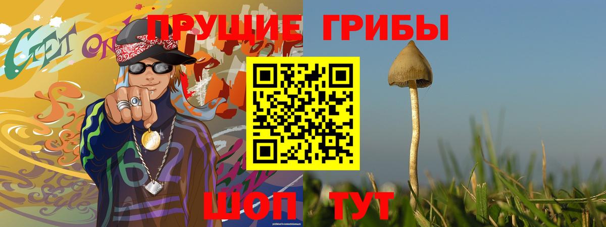 Галлюциногенные грибы Cubensis Мурино